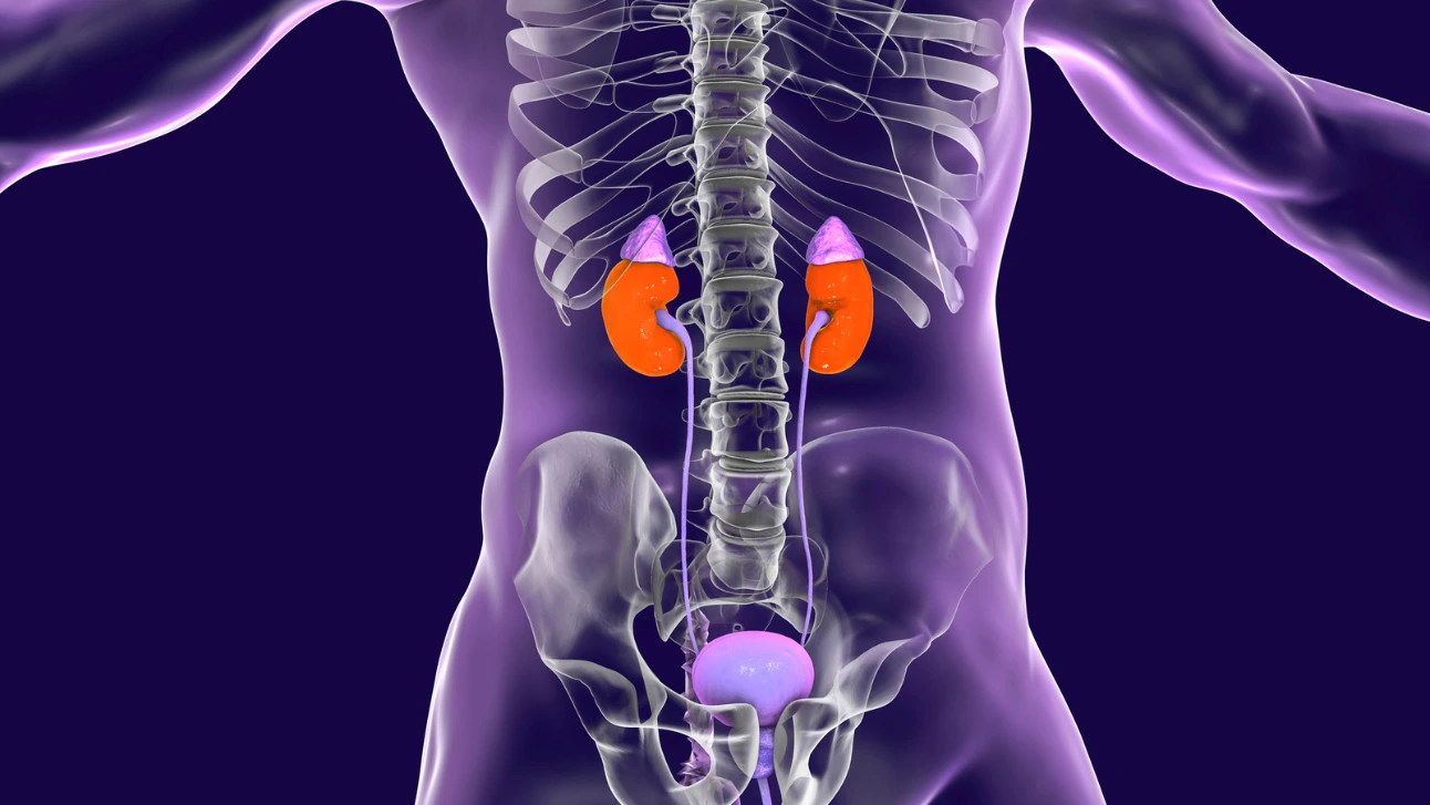 Adrenal Surgery