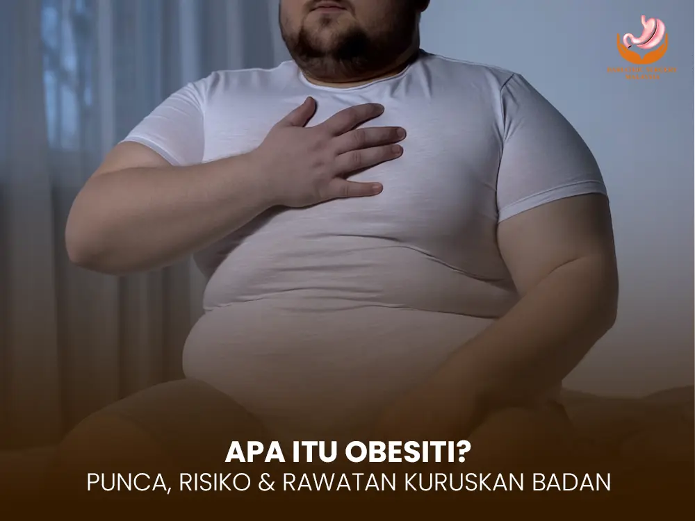 apa-itu-obesiti