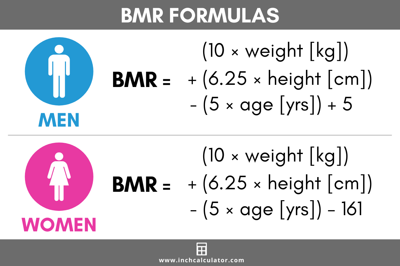 bmr-formulas-cara-kira-kalori-makanan
