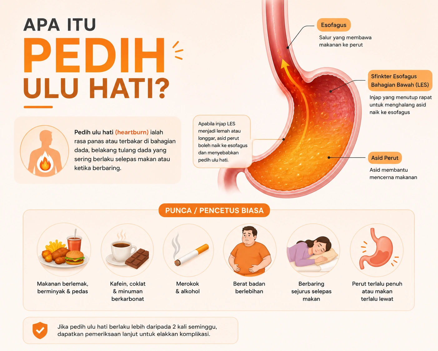 Pedih Ulu Hati: Punca, Simptom, Beza Dengan GERD & Cara Hilangkan